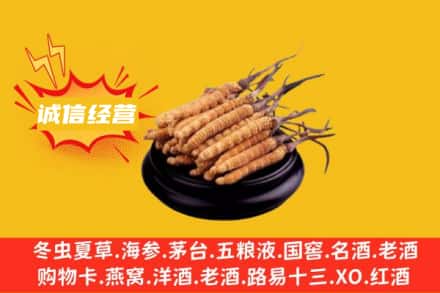 湖州回收冬虫夏草
